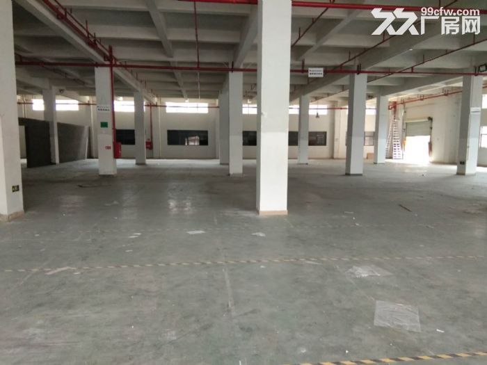 凤岗天堂围标准一楼厂房出租1750平，带消防喷淋 - 4