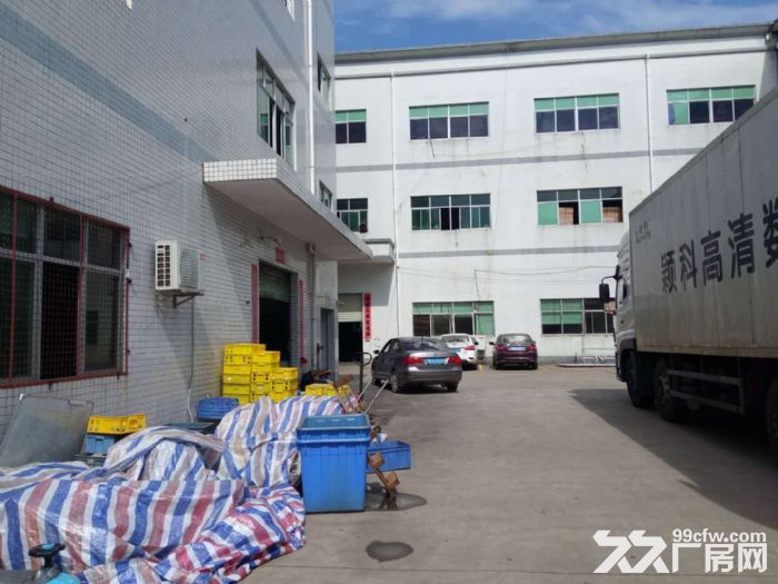 清溪青皇招租一楼标准厂房366平 豪华精装修办公室 - 4