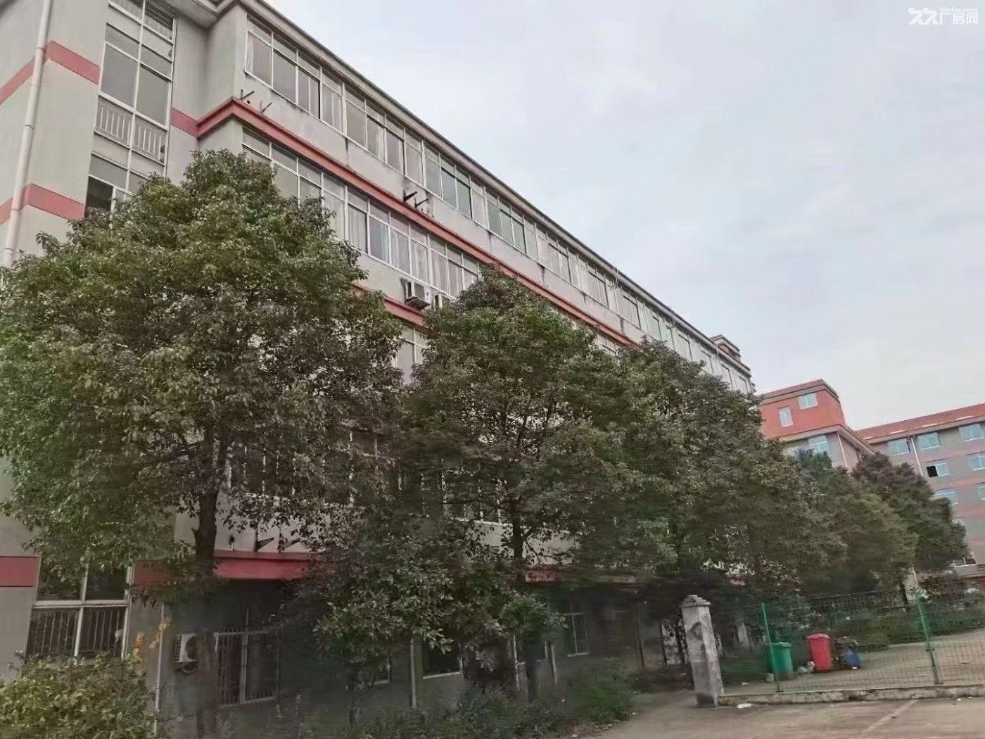 建德大慈岩25000方标准厂房 - 4