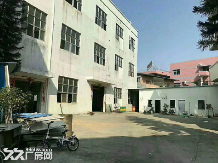 清溪罗马价格便宜2700平方小独院厂房出租 - 4