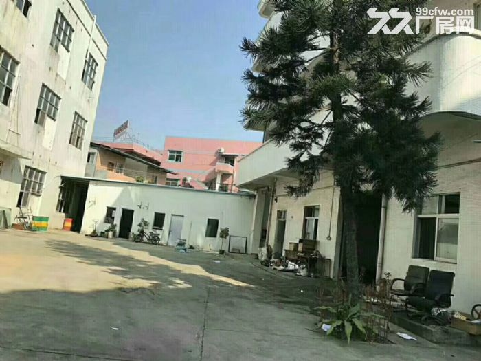 清溪罗马价格便宜2700平方小独院厂房出租