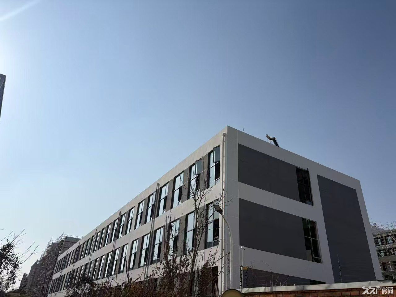 松江九亭新建独栋3390平厂房出租