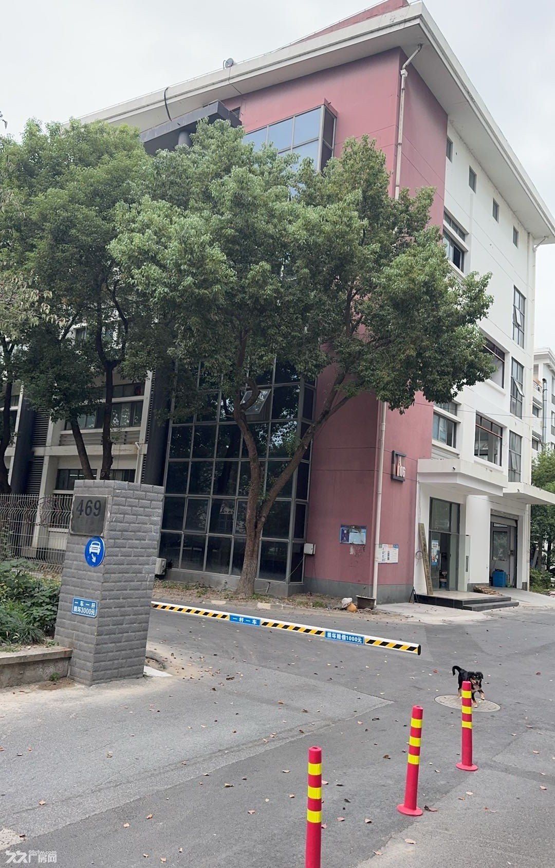 松江车墩独栋厂房出租,可分租,可办环评,近物流园生活配套齐全 - 8