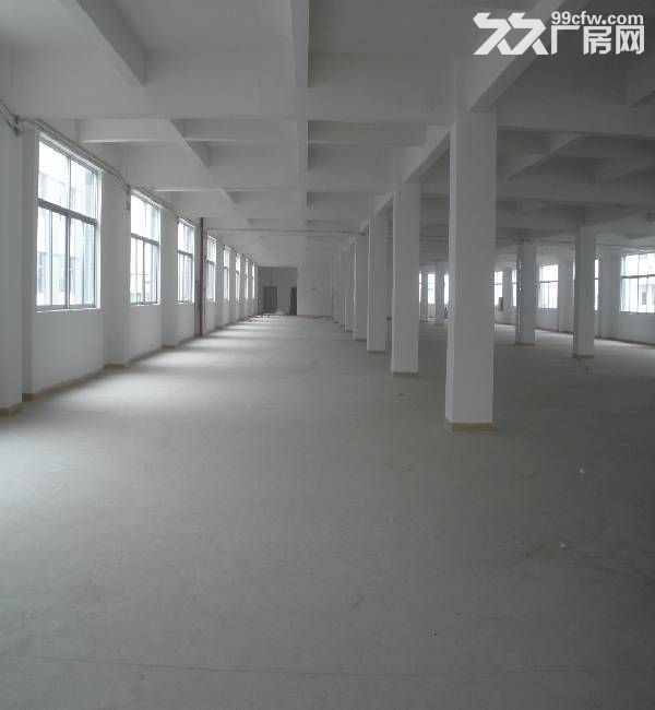 龙岗地铁口200平300平500平厂房仓库出租 - 2