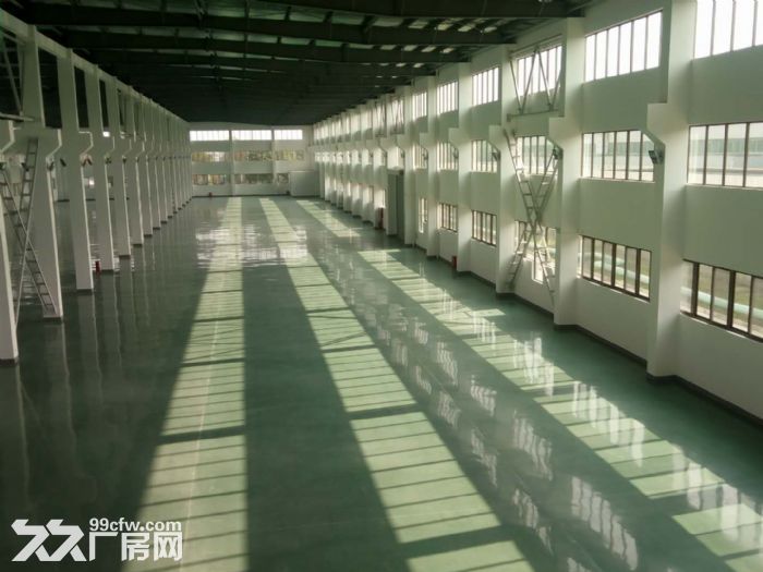 淀山湖北苑路5000平方单层出租，具体面议 - 3