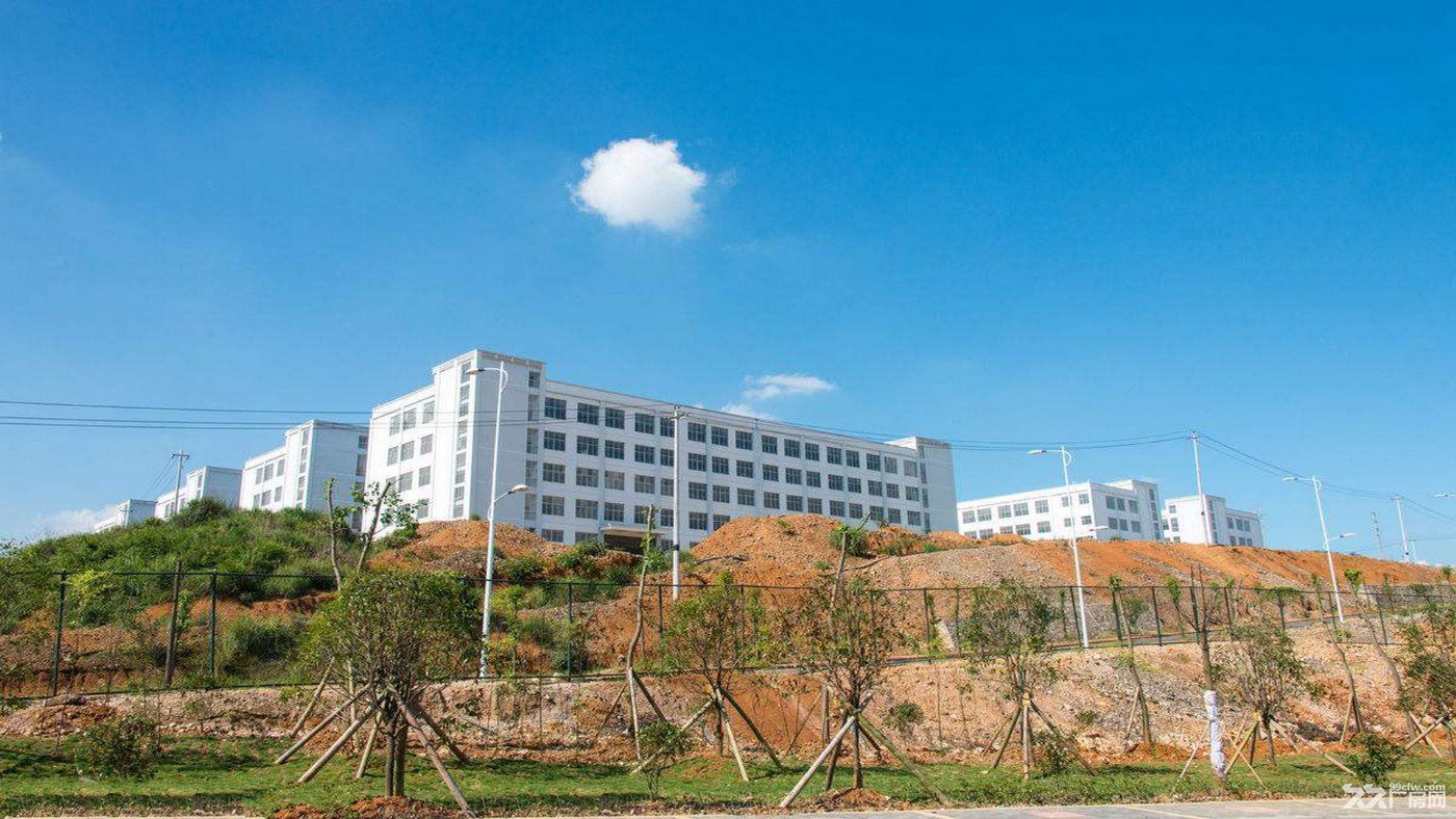 东莞市塘厦镇28000平米钢架厂房出租 (可分租)