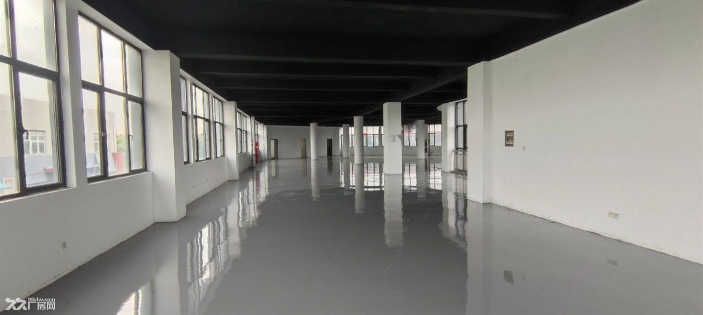 浦江电商仓库整层380平,200平价格优惠鞋服展示办公用品店 - 8