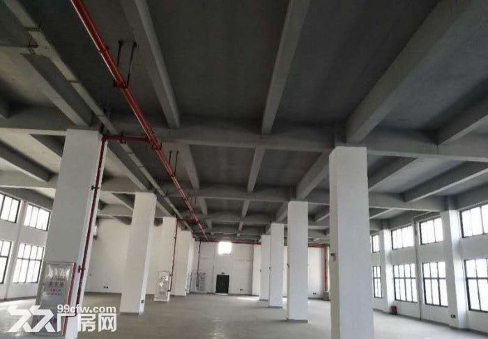 海沧马青路两栋5层每层2000平全新标准厂房招租，可分割 - 2