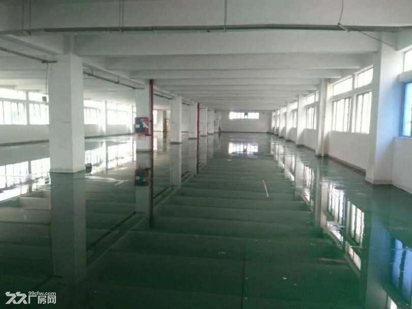 西丽南岗工业区整层精装1500平办公厂房直租
