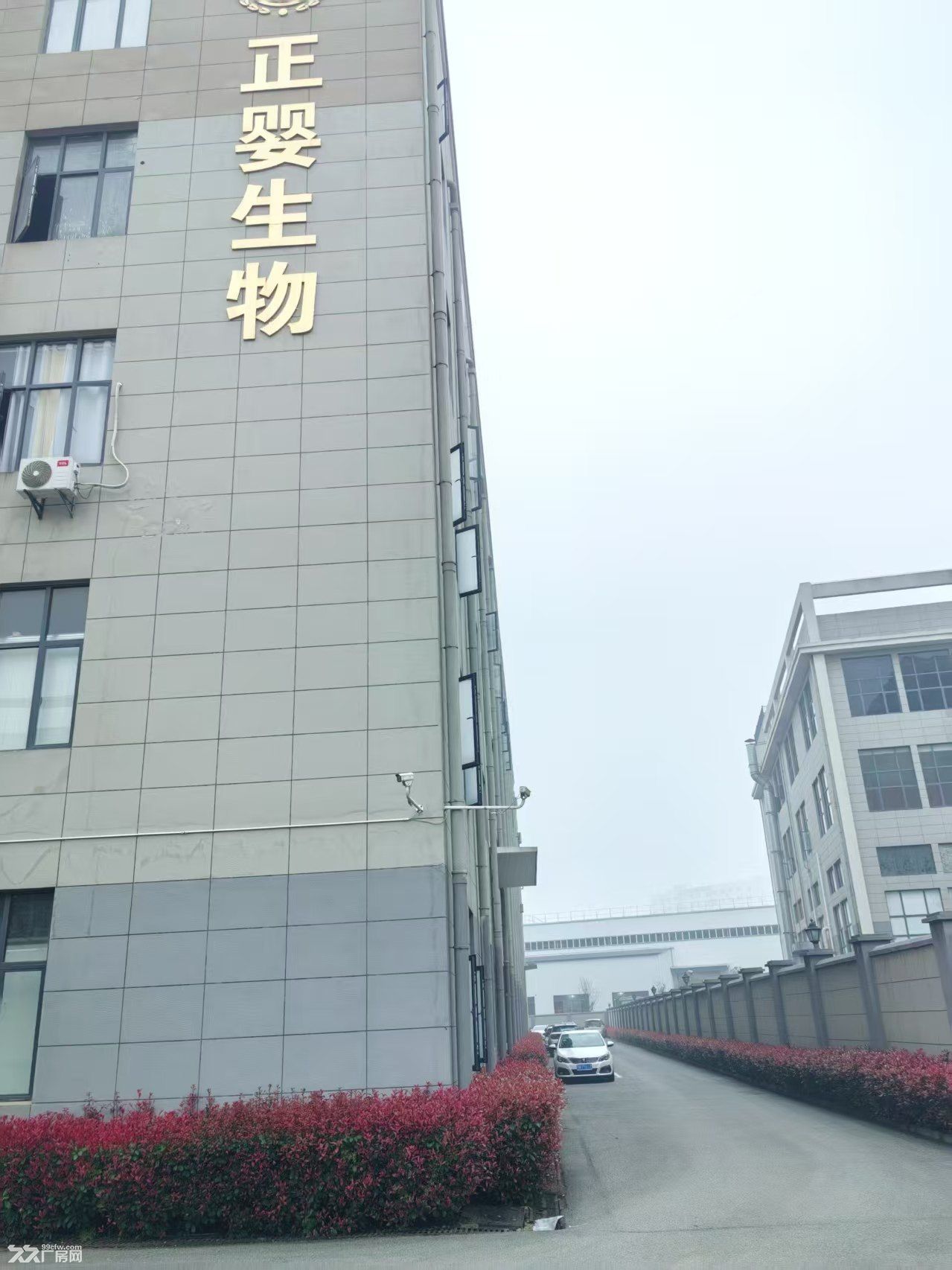 独栋厂房4楼整层直租！环氧地坪+办公室，拎包入驻！ - 6