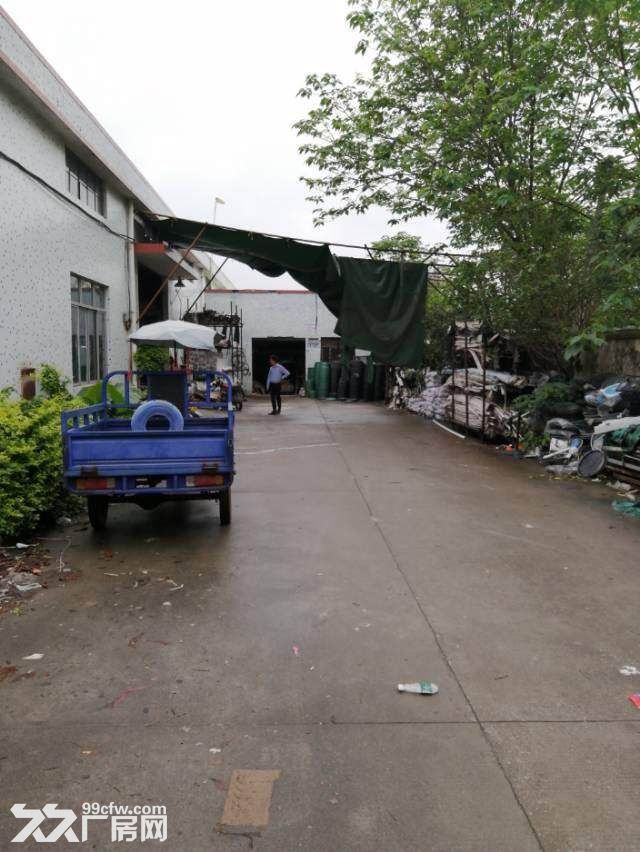 白云太和永兴工业园区独院一楼厂房1450方,原房东,适合五金、注塑 - 3