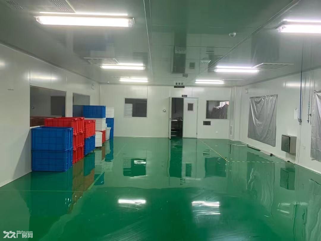 出租 肥西工投立恒工业广场 净化厂房、无尘车间 送免租期 - 4