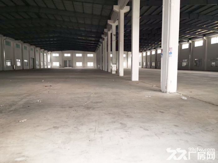 高明更合新出原房东单一层厂房出租，6000平，可分租，租金便宜 - 3