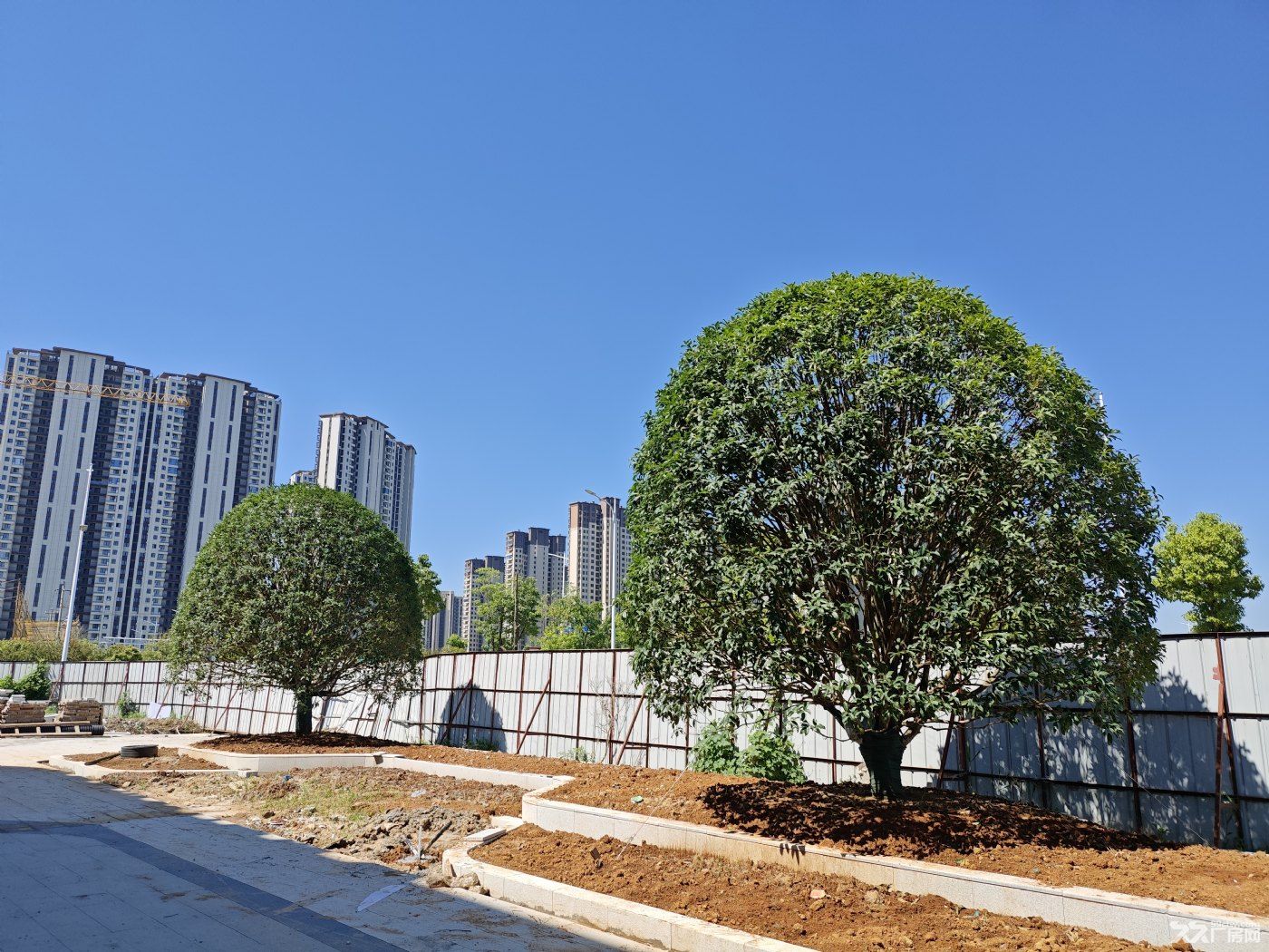 非中介，50年产权，已交付，现房项目，价格可谈，交通便利，配套完善