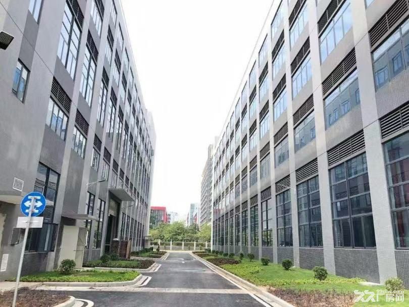 黄埔区科学城高新技术产业园厂房