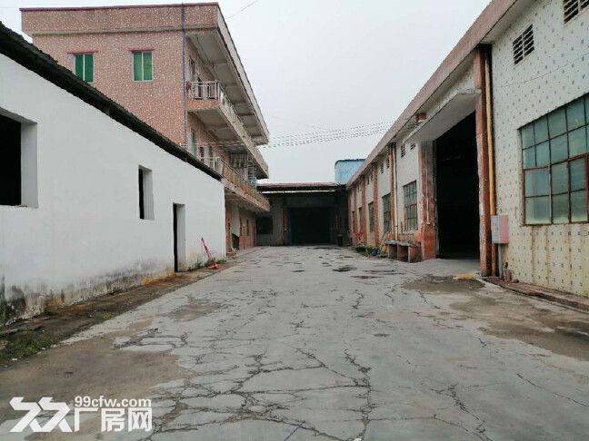 白云钟落潭竹料地铁站独院单层厂房1400平,可办环评,空地2000平 - 3