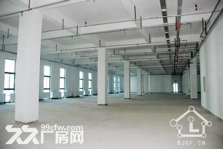 个人.江宁开发区将军大道旁1到2楼2000平米精装修厂房 - 3