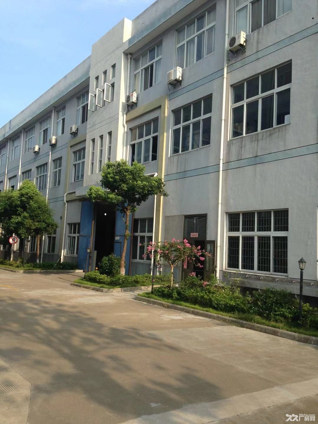 庄市工业B区厂房出租 - 3