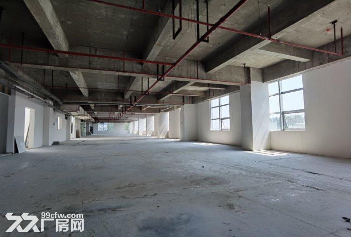 金桥104板块 有环评 可研发 小试,中试等实验室 检测等 - 7