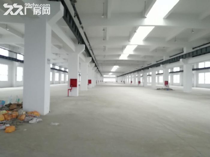 梅村全新独院27500平米漂亮厂房出租 - 3