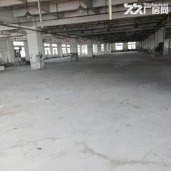 江门开平市金鸡镇80000平方工业园招商引咨，可分栋出租 - 3