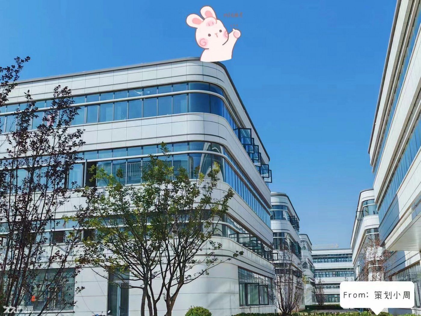 仅剩两套！江宁现房 优质独栋总部 粤浦科技省重点旗舰园区 - 6