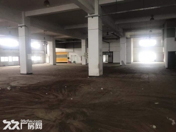 南五环高度7米面积6000可分租价格便宜有坡道直接到二楼 - 7