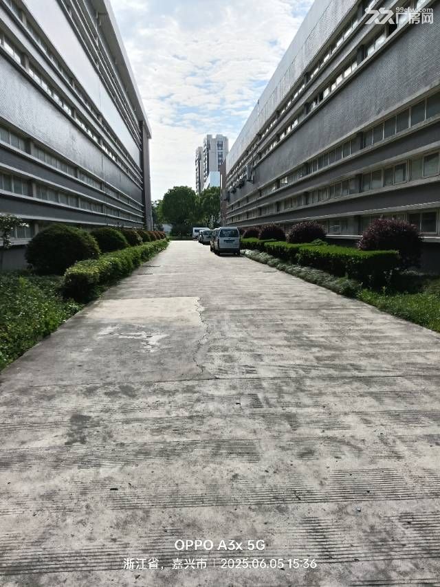 嘉兴科技城标准厂房出租,5000平看房方便一楼大车方便