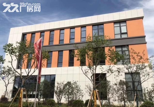 沪苏通长江大桥第一高速口标准独栋厂房出售