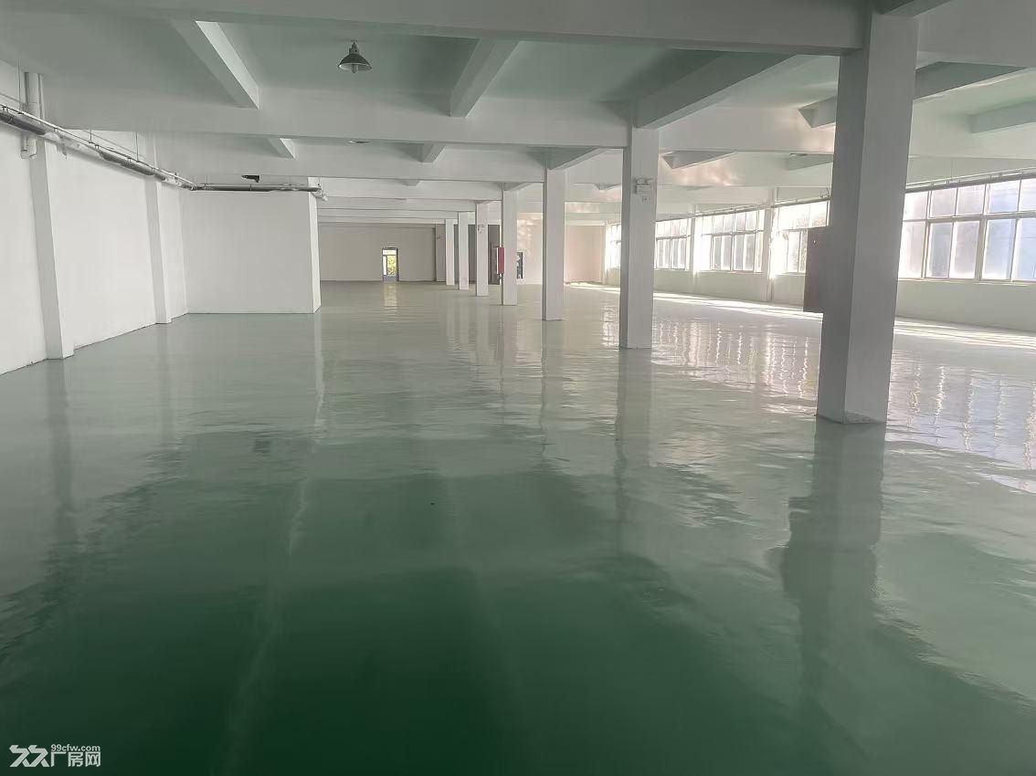 近水果市场，二楼带环氧地坪，面积可分割