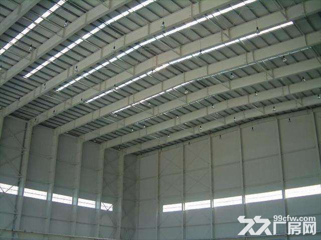 20.江宁科学园.一楼22000平米.独门独院.单层.钢结构.厂房仓库 - 5