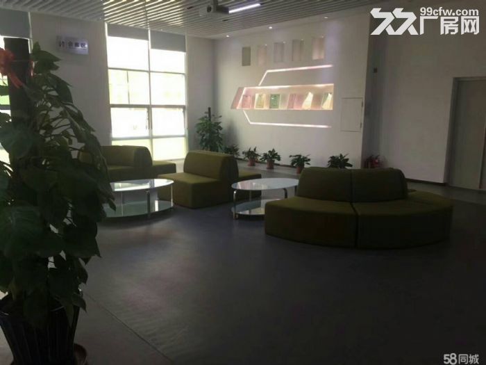 平湖华南城大型工业区红本厂房20000平方厂房出租,消防环保手续齐全!带装修,大 - 5