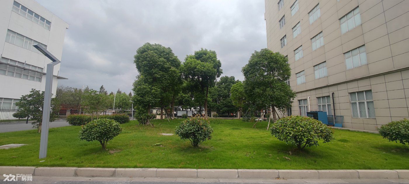 临港自贸区独栋厂房，7200平米带花园，客货双梯，独立安防 - 8