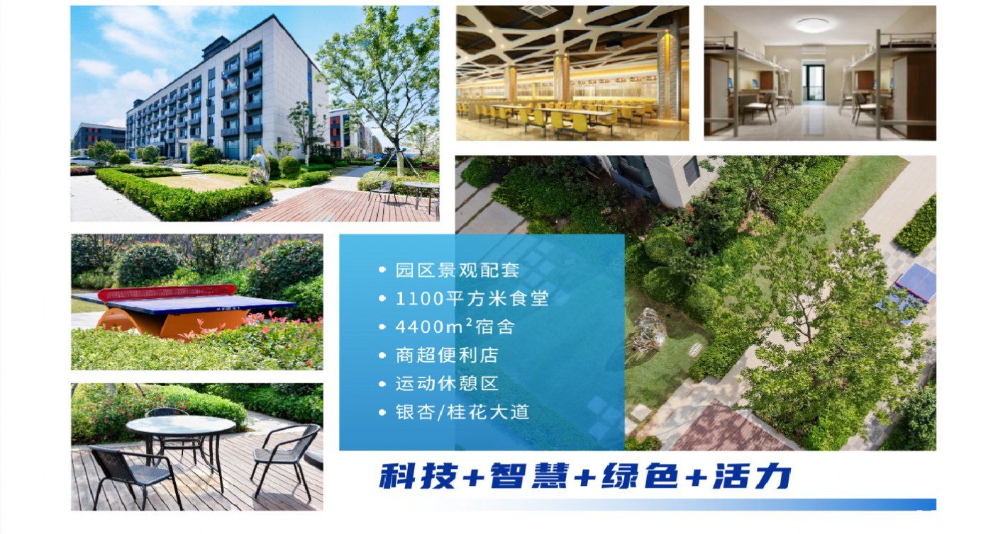 (现售)庙山新想产业园,1800~2400㎡低密3层独栋,首付20%起 - 5