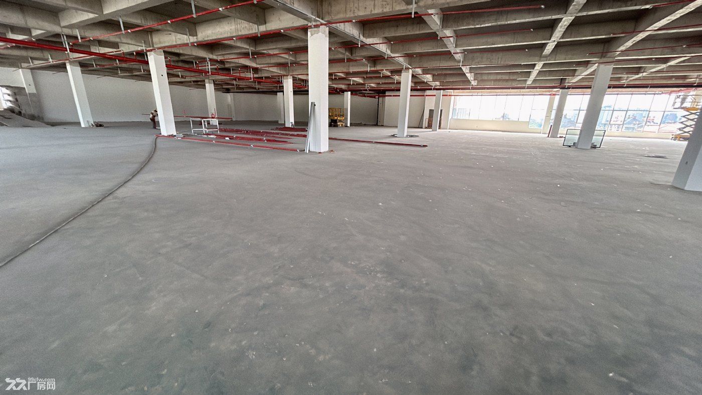 中环高架塔园路口纯一楼1000㎡高标厂房，客货梯全，交通便利 - 5