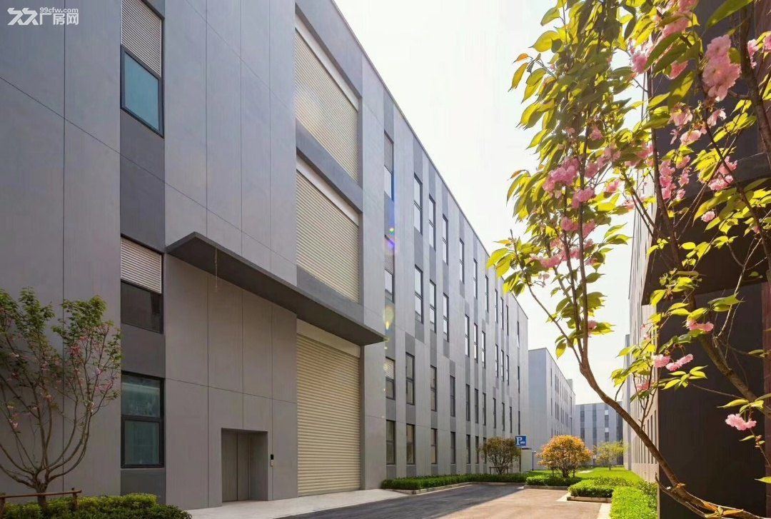 康桥罗山路 新建产业园 适合集成电路新材料等科技型企业研发 - 5