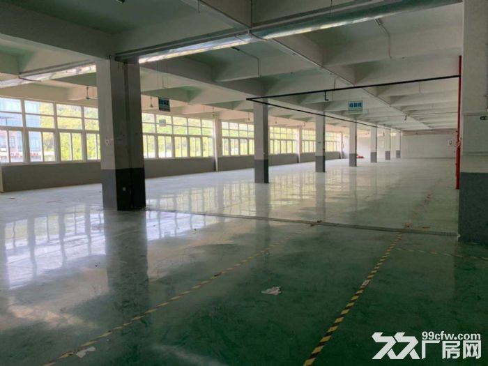 出租海沧马青路附近标准厂房两栋,单层2000,4800平出租, - 3