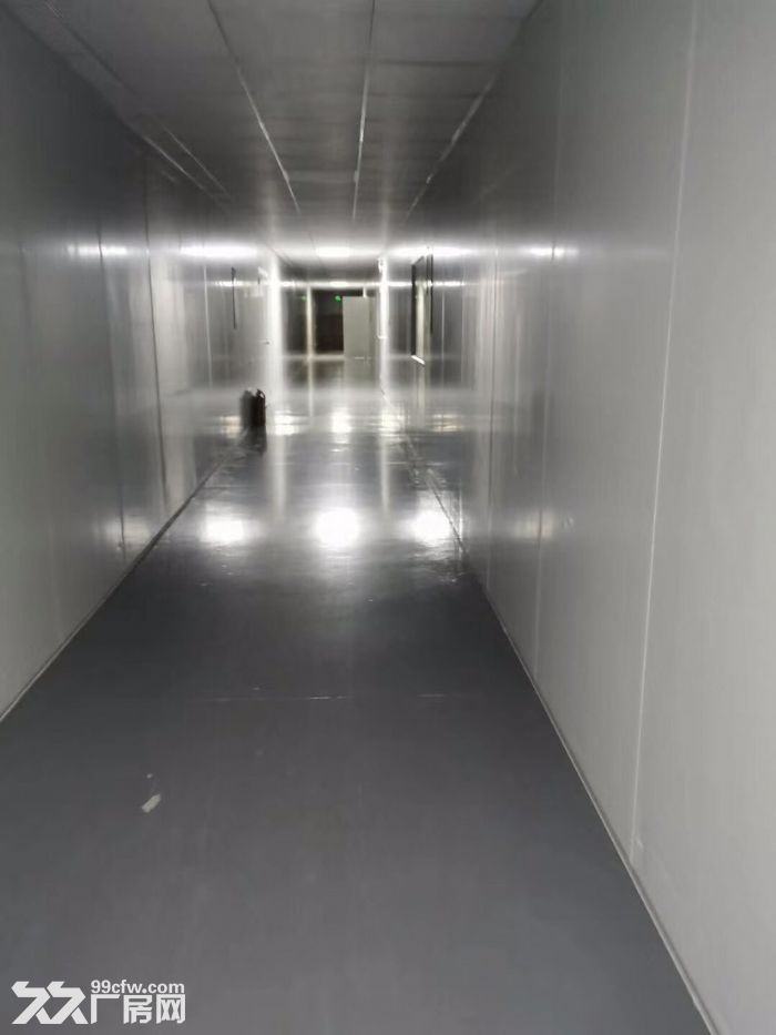 龙华新出楼上2700平无尘车间出租,口罩行业可用,可办环评 - 2