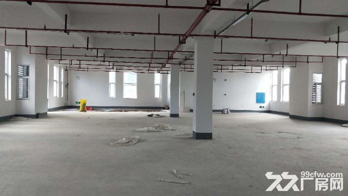星沙壹号企业特区570平米出售，无尘地面 - 3
