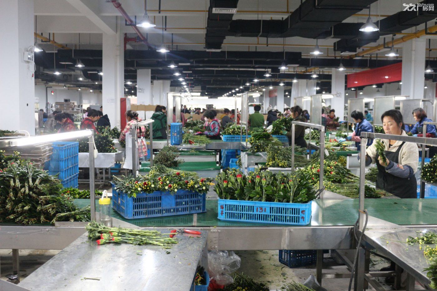 平水工业园区独门独院厂房出售 - 2