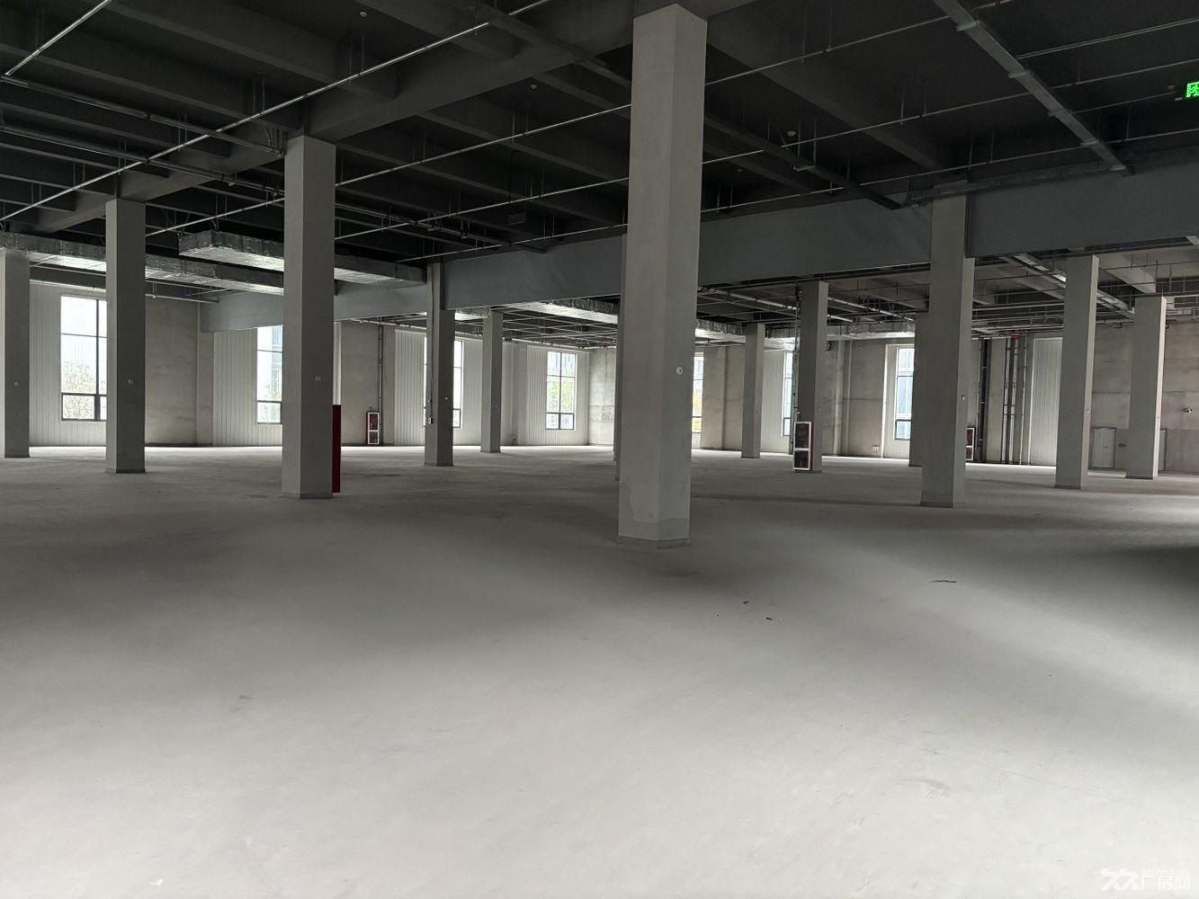 曹路104板块新建全新厂房，大房东直租 - 5