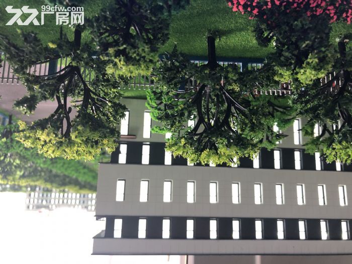 稀缺厂房邻上海厂房出售2124平标准厂房可注可按揭 - 7