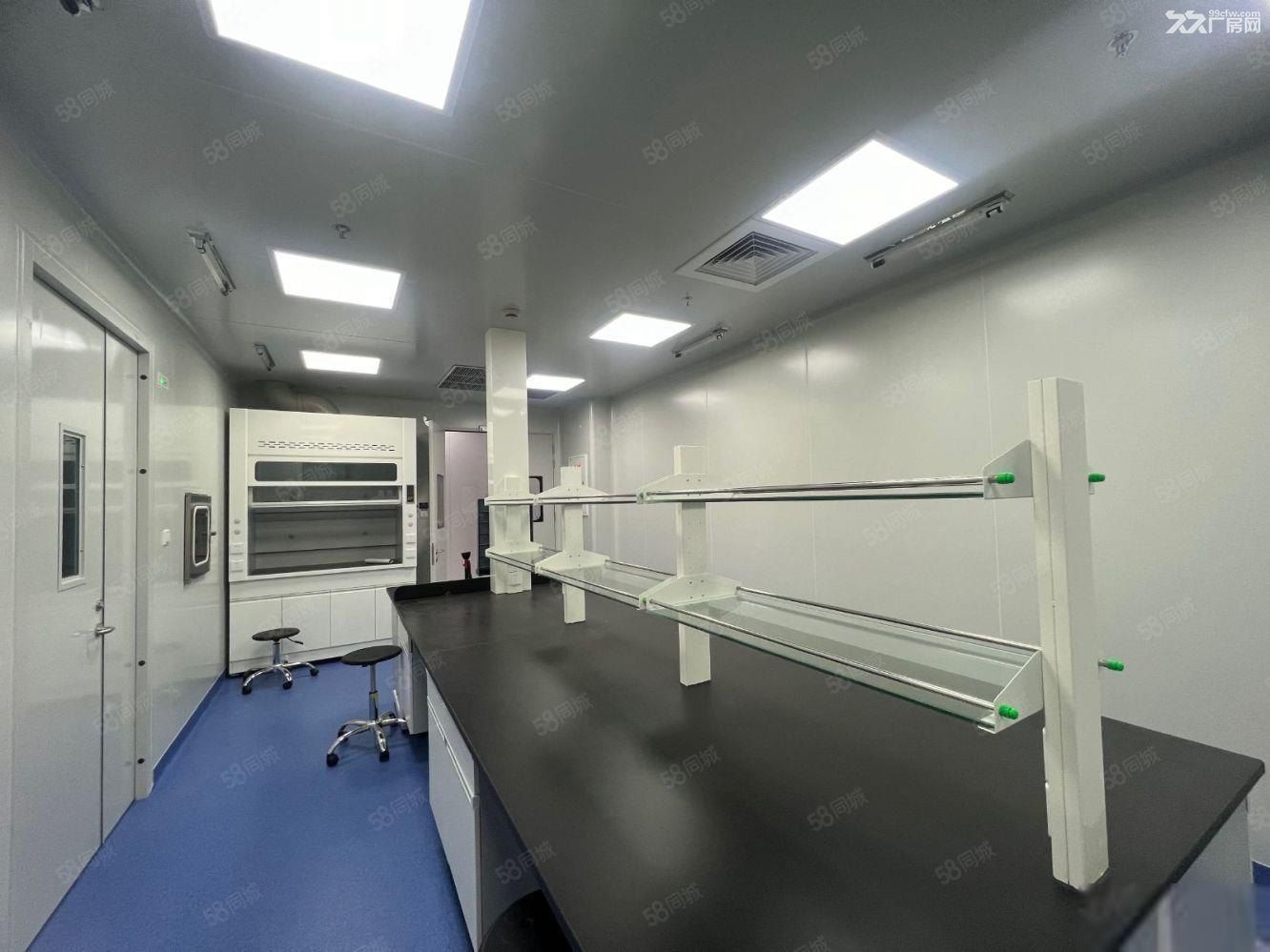 精装P1P2细胞房 ,PCR实验分子间 包环评有补贴带办公室