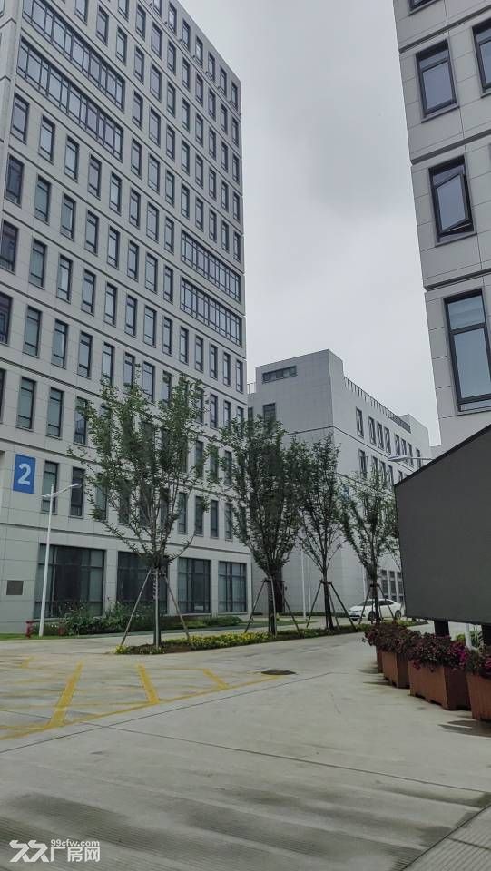 全新厂房出租蛟川2000平 - 4