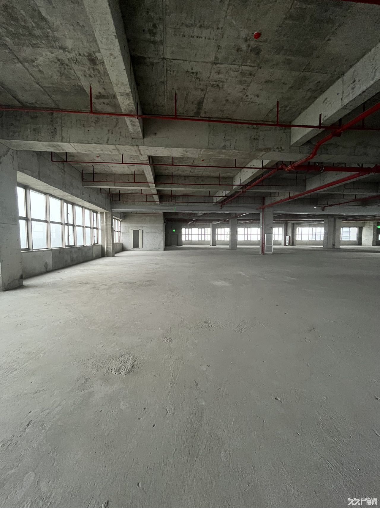 广州白云全新M1用地标准厂房出租 - 3
