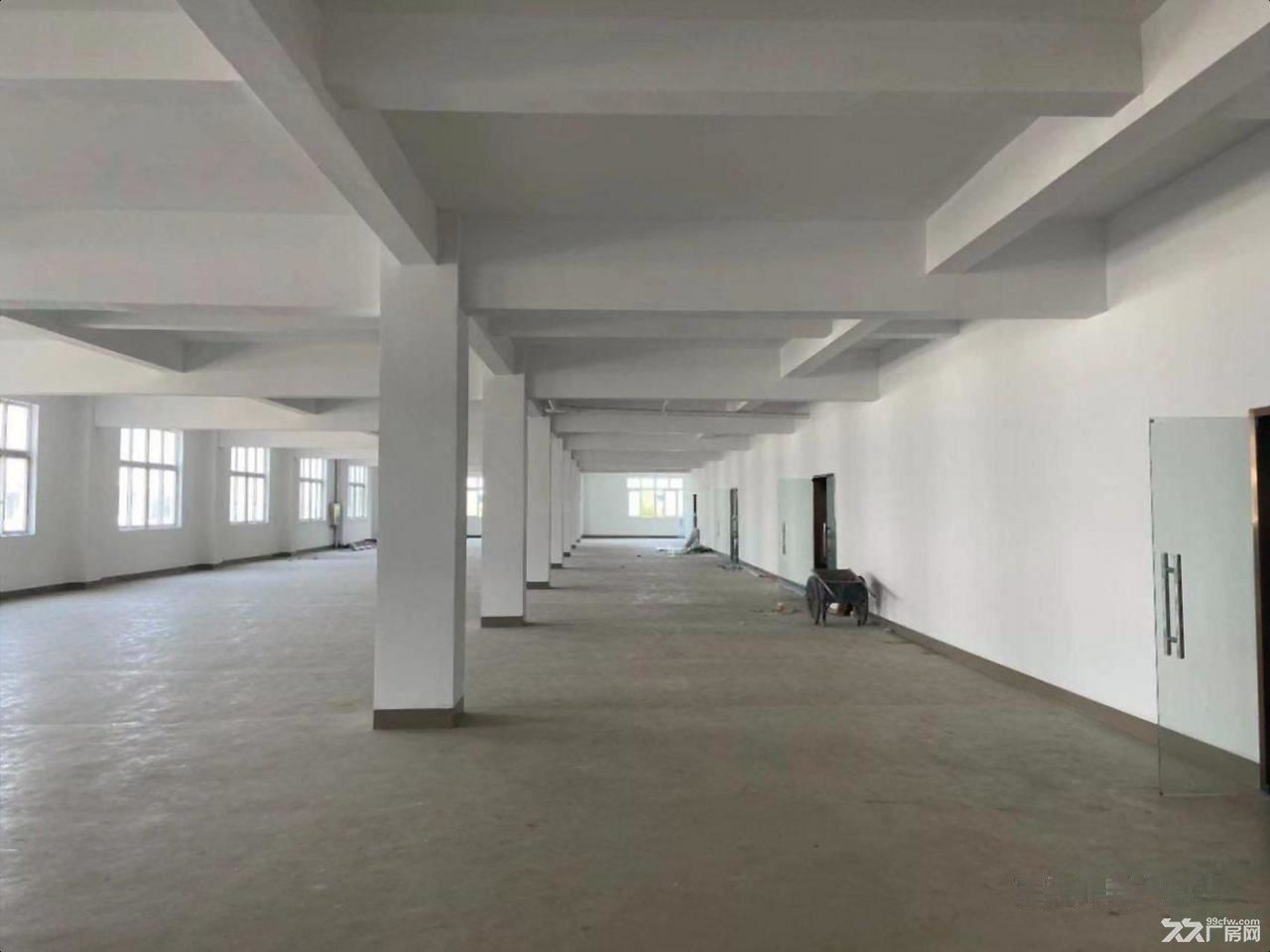 房东出租:嘉定-安亭 于塘路/宝安公路(路口) 正规 不后悔的选择 - 5