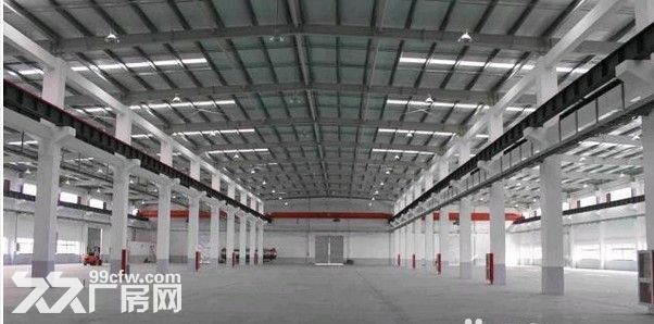 临港50000平厂房仓库高13米宽28米有牛腿可加工仓储可分租
