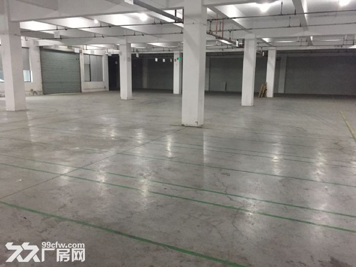 滨文路一楼1200方,层高6米,适合展厅摄影科技类