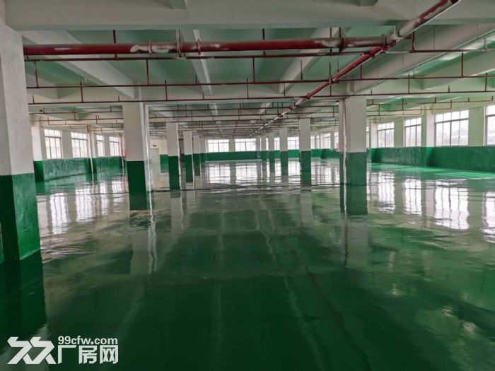 江门台山水步电梯厂房2000平方招租,形像好 - 3