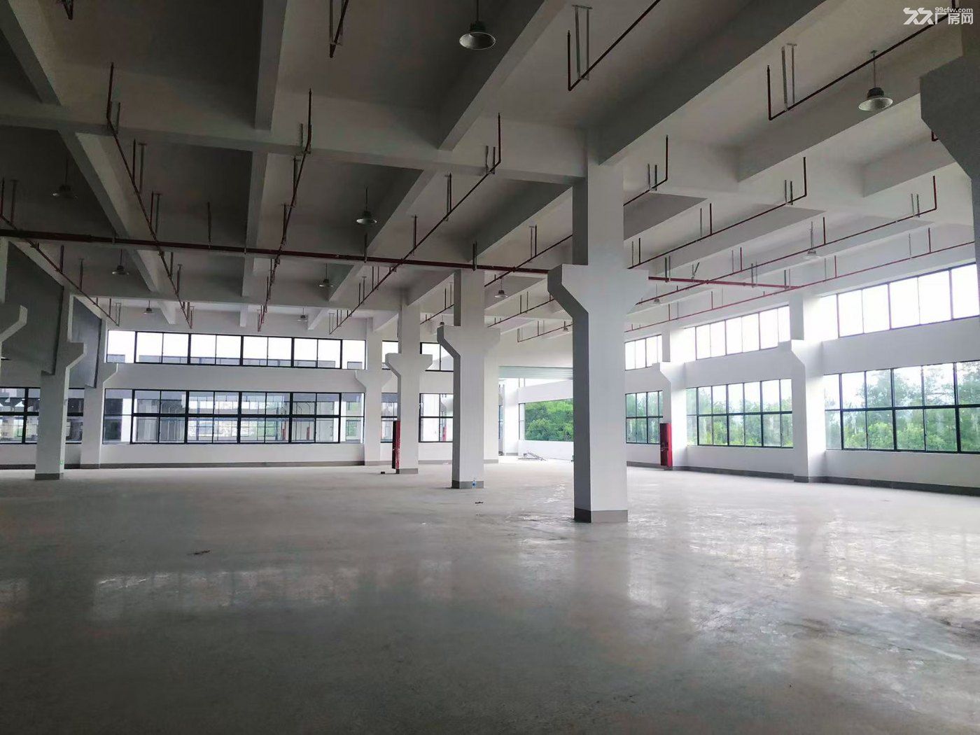 新建3万多平米厂房,可整租亦可分租,灵活适配企业需求 - 7